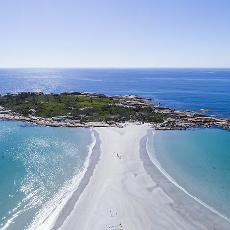 Diamond Island Resort, Restaurant & Bar And Penguin Show Bicheno Eksteriør bilde
